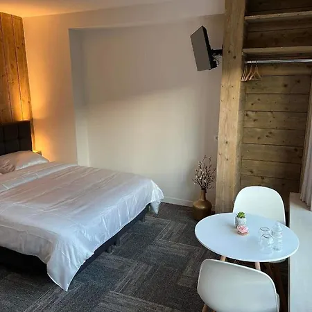 Prachtige In Centrum Met Badkamer ! Brujas